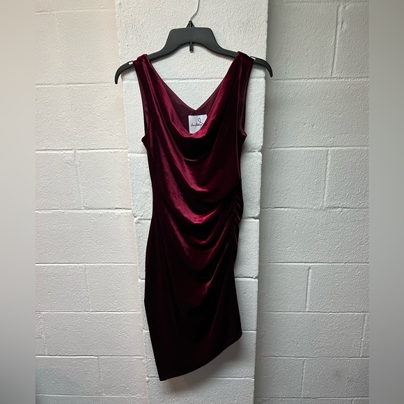 Sam Edelman Deep Red Velvet Dress - Picture 1 of 6